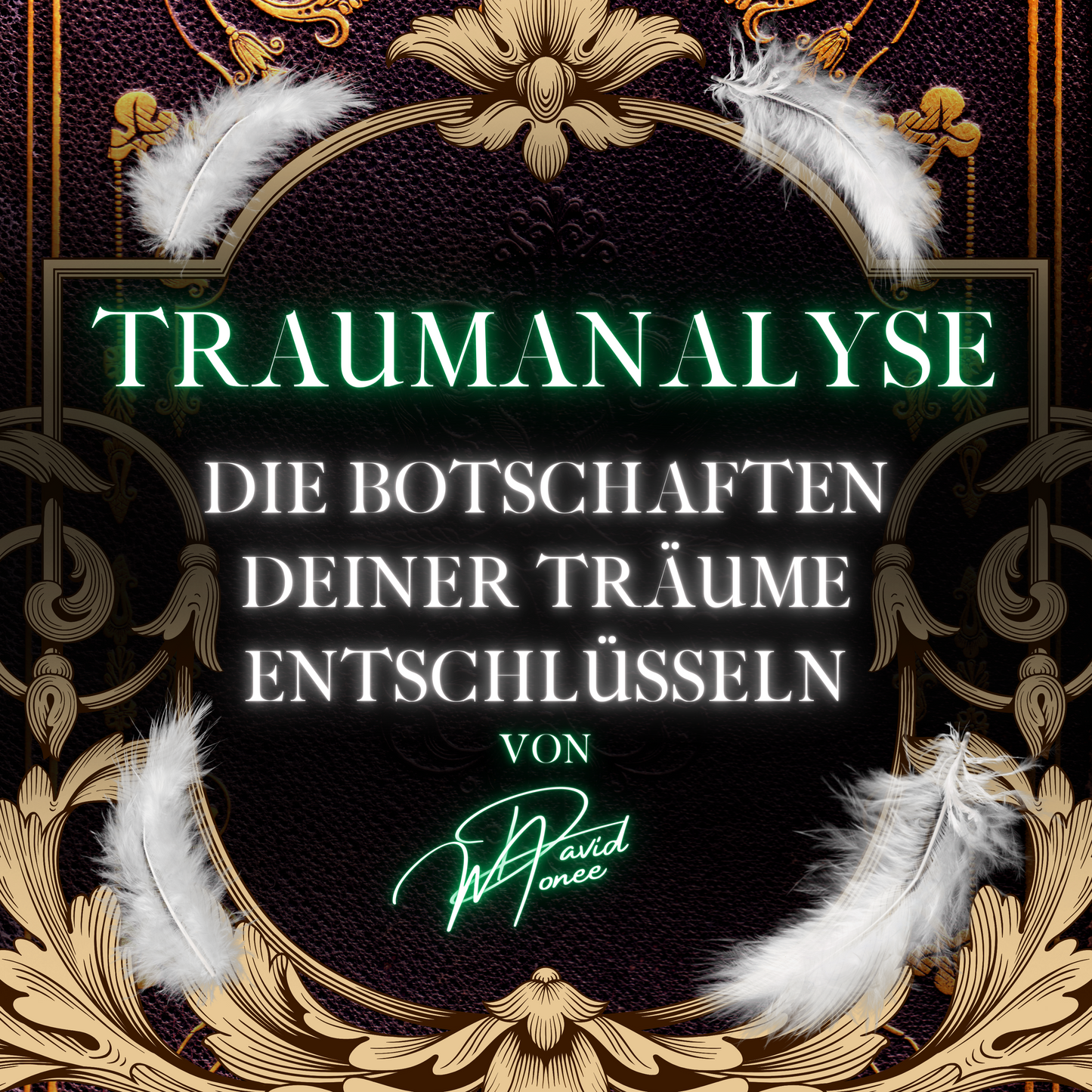 Traumanalyse - Die Botschaften deiner Träume entschlüsseln [E-Book]